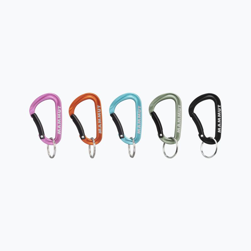 Карабін Mammut Mini Carabiner Classic Keylock S 9000 кольоровий