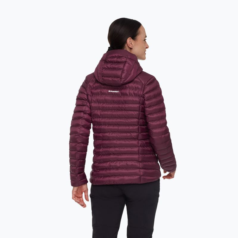 Куртка утеплена жіноча Mammut Albula IN Hooded vin/black 2