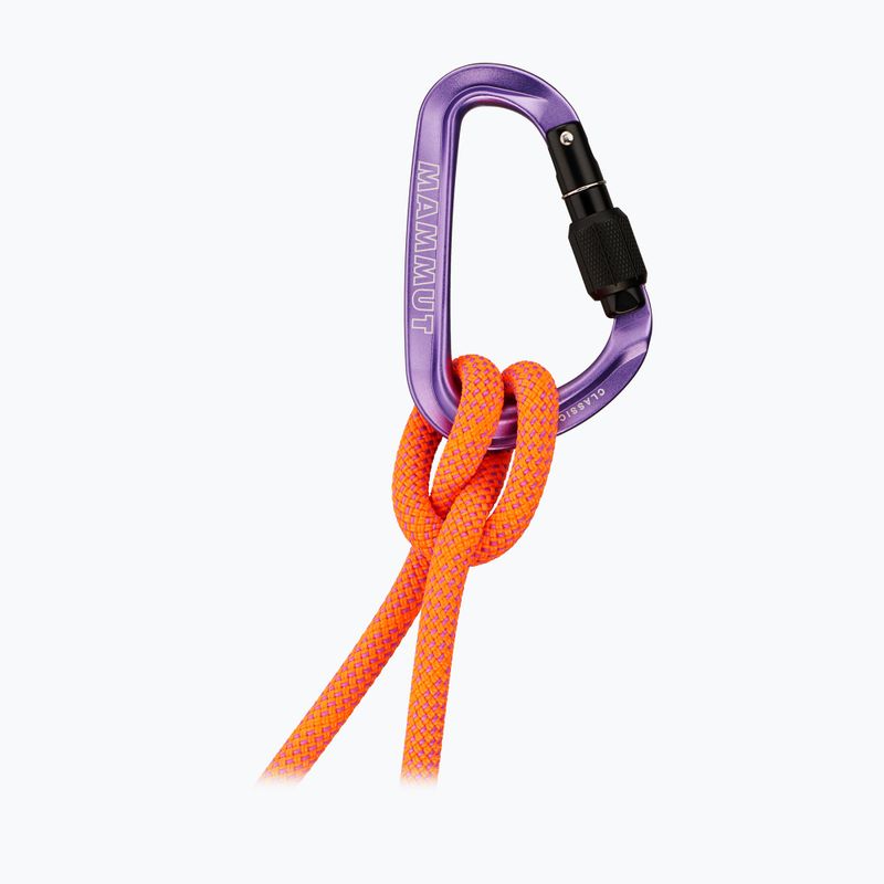Карабін Mammut Classic HMS Screwgate screw gate/alpine calamint 2