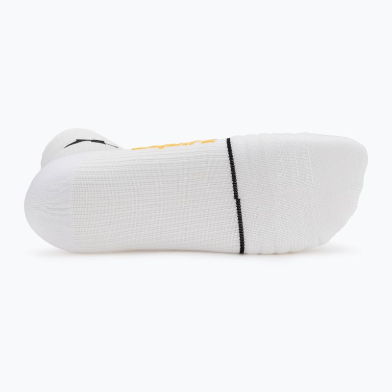 Шкарпетки ASSOS Equipe Spring Fall P1 white 4