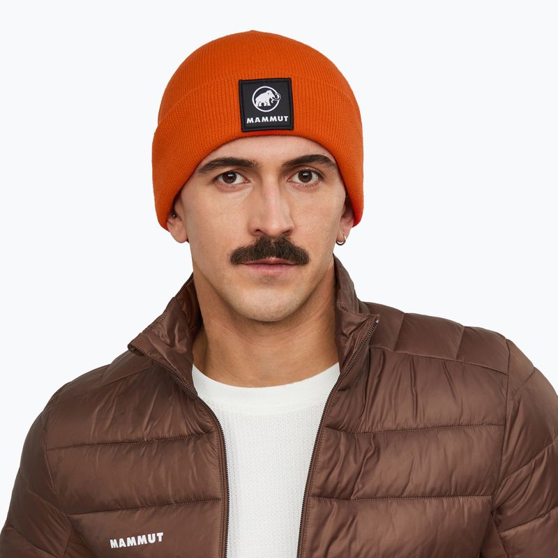 Шапка зимова Mammut Fedoz Beanie autumn larice 3