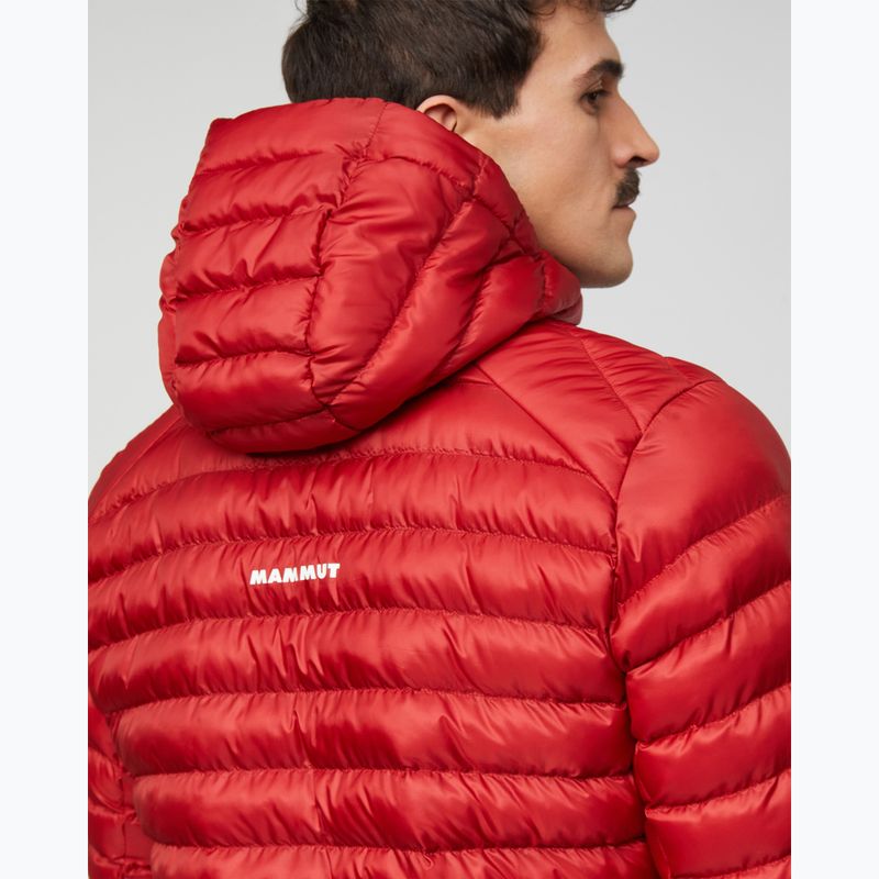 Куртка утеплена чоловіча Mammut Albula IN Hooded Jacket Men dark mammut red 7