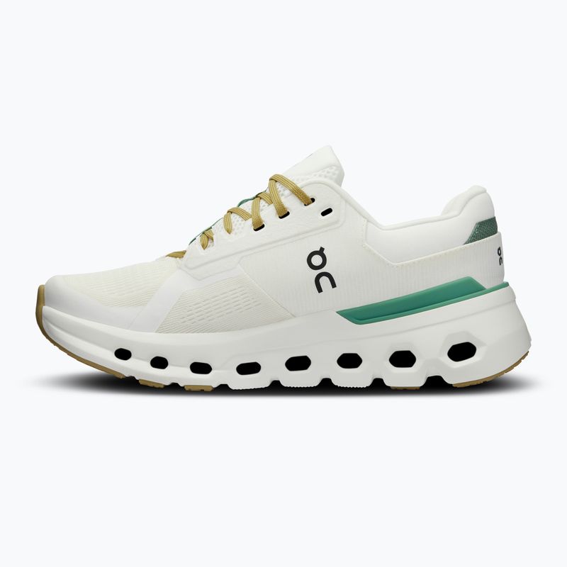 Черевики для бігу жіночі On Cloudrunner 2 undyed/green 10