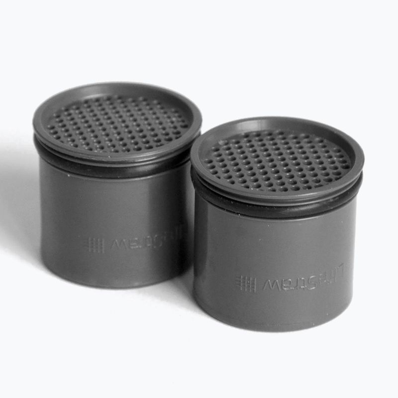 Фільтри Lifestraw Carbon Capsule 2 шт. чорні LSGO2PKCF1