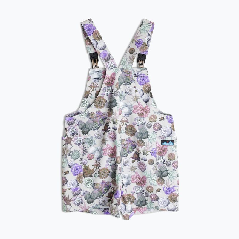 Шорти жіночі KAVU Montanita succulents 2