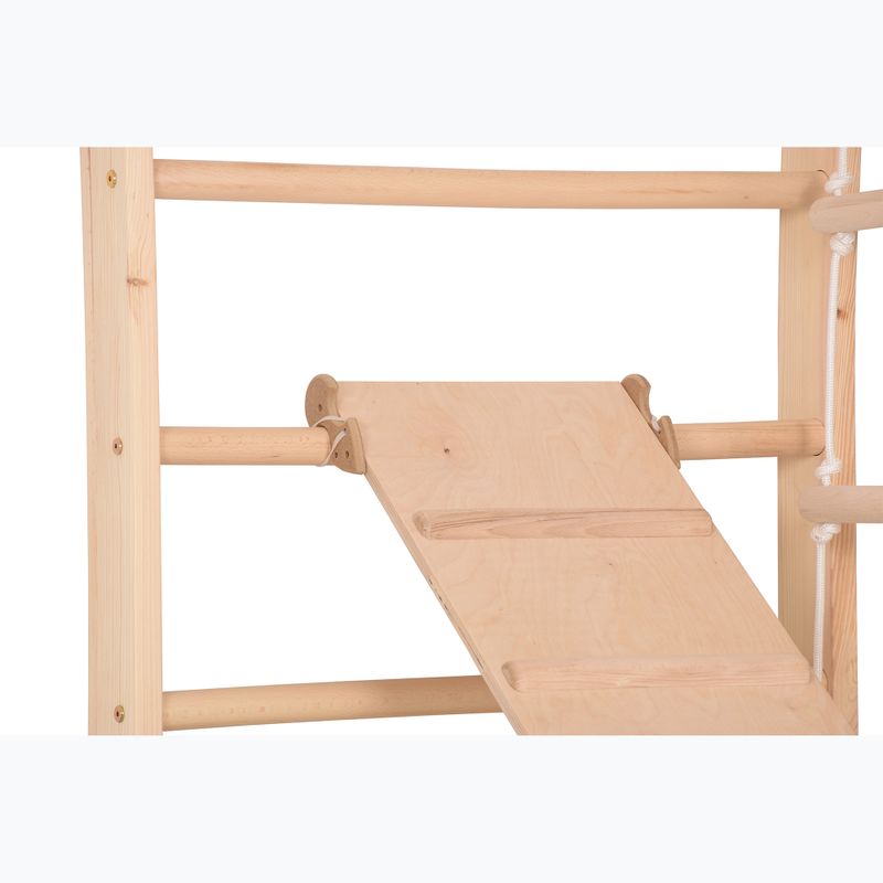 Драбина гімнастична RINAGYM Sport 3 6