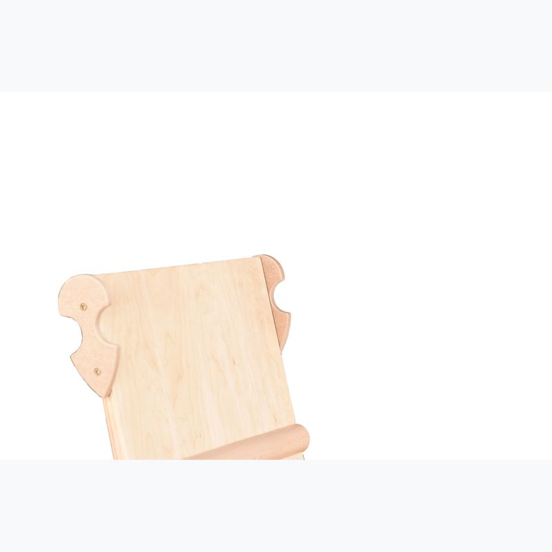 Драбина гімнастична RINAGYM Kinder 3 white 6