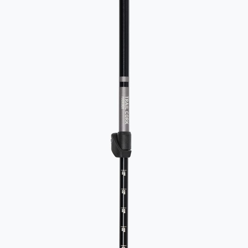 Трекінгові палиці Black Diamond Trail Cork Trek granite 6
