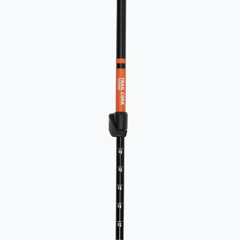 Трекінгові палиці Black Diamond Trail Cork Trek picante 6