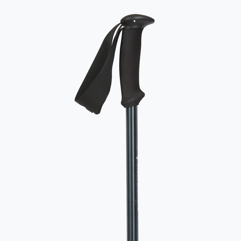 Палиці трекінгові Black Diamond Explorer 2 Trekking ink blue 2