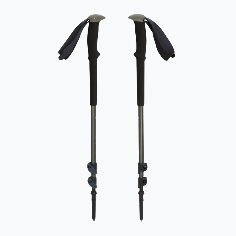 Палиці трекінгові Black Diamond Trail Trekking pine smoke 5