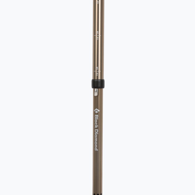 Палиці трекінгові Black Diamond Trail Vista FLZ Trekking white oak 4