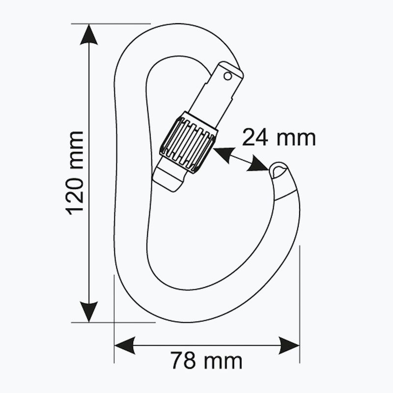 Карабін CAMP Atom Lock gun metal 3
