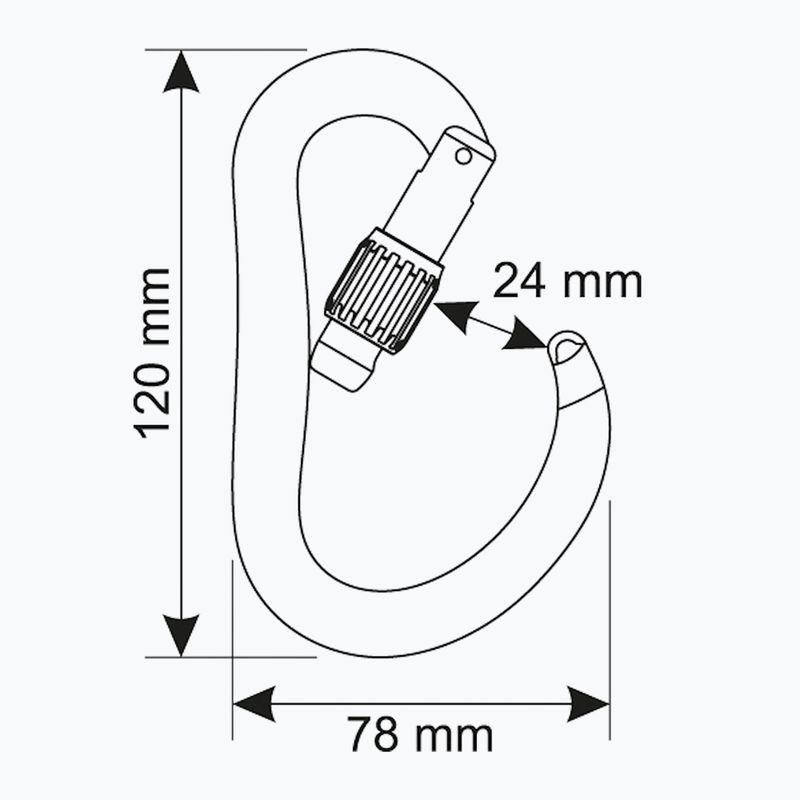 Скелелазний карабін CAMP Atom Lock black 3