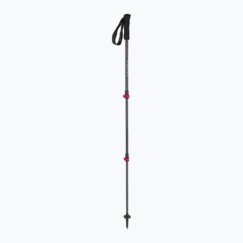 Палиці трекінгові CAMP Backcountry Carbon 2