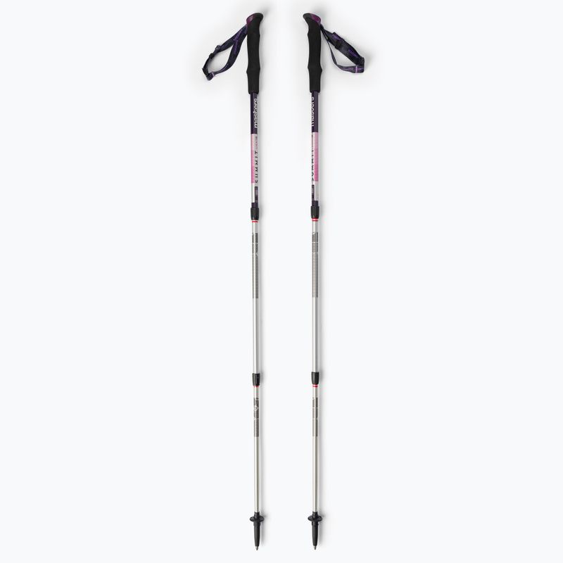 Палиці трекінгові жіночі Masters Trekking Pole Summit Light Woman срібрні 01S4619