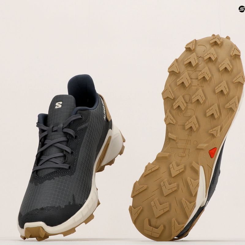Кросівки для бігу чоловічі Salomon Alphacross 4 ebony/rainy day/phantm 21