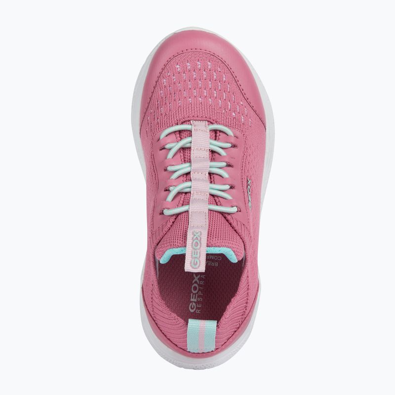 Кросівки дитячі Geox Sprintye fuchsia/watersea 13