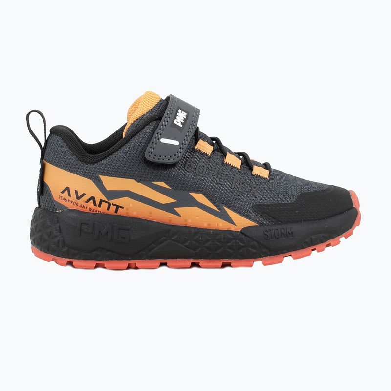 Взуття дитяче Primigi PIM GTX 24190 ferro 2