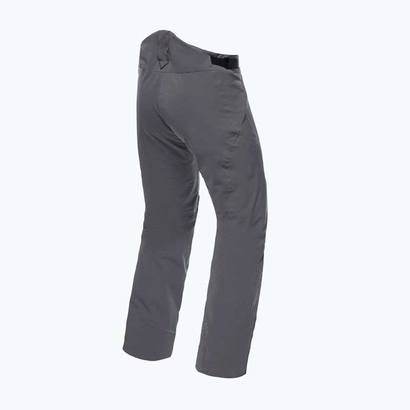 Штани лижні чоловічі Dainese Hp Ridge castle rock 5