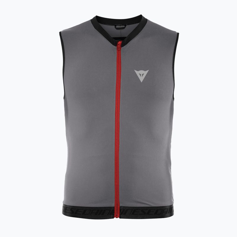 Чоловічий жилет Dainese Flexagon Waistcoat 2 срібляста філігрань/захисний жилет із замкового каменю 7