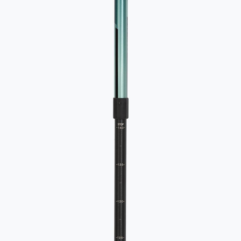 Палиці трекінгові  Fizan Trek Pro dark green 4