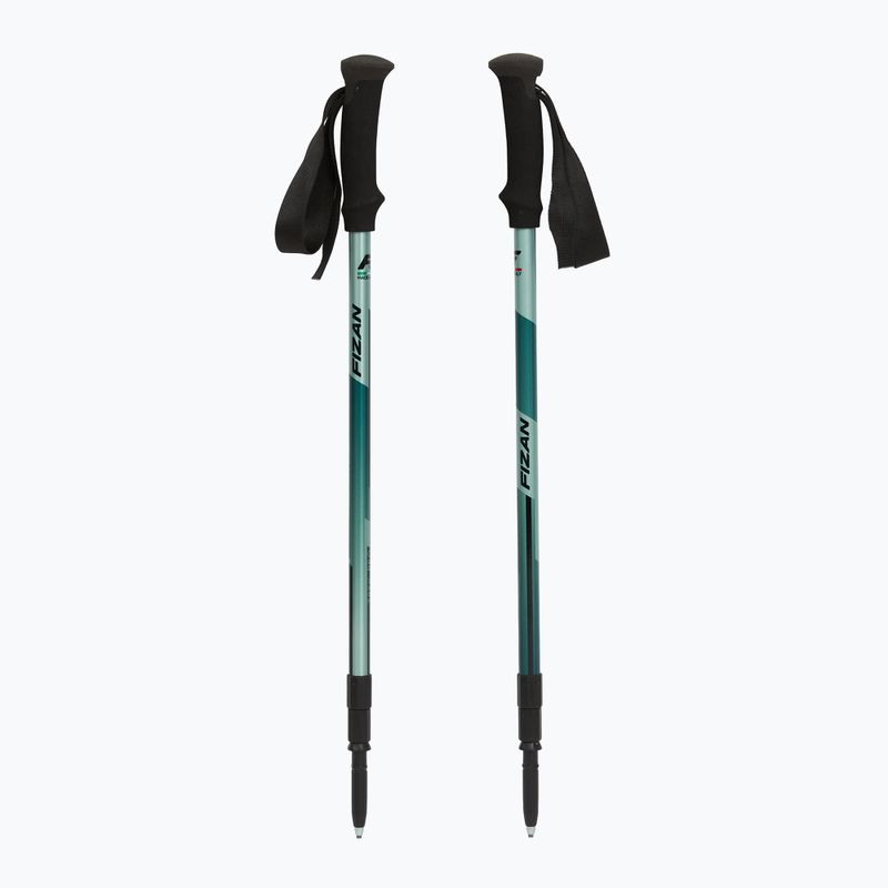 Палиці трекінгові  Fizan Trek Pro dark green 5