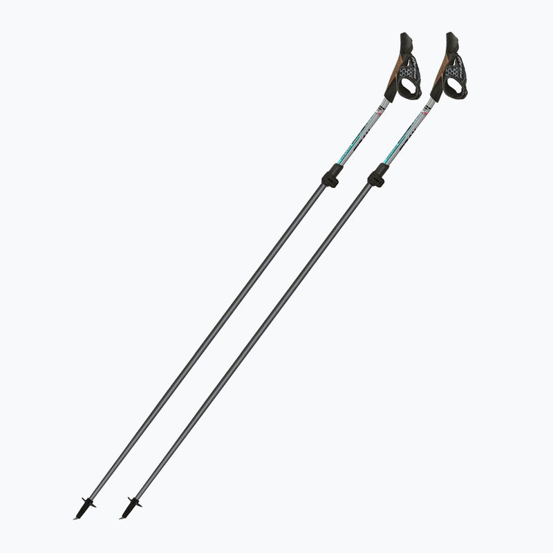 Палиці для скандинавської ходьби Fizan Carbon Pro Impulse grey