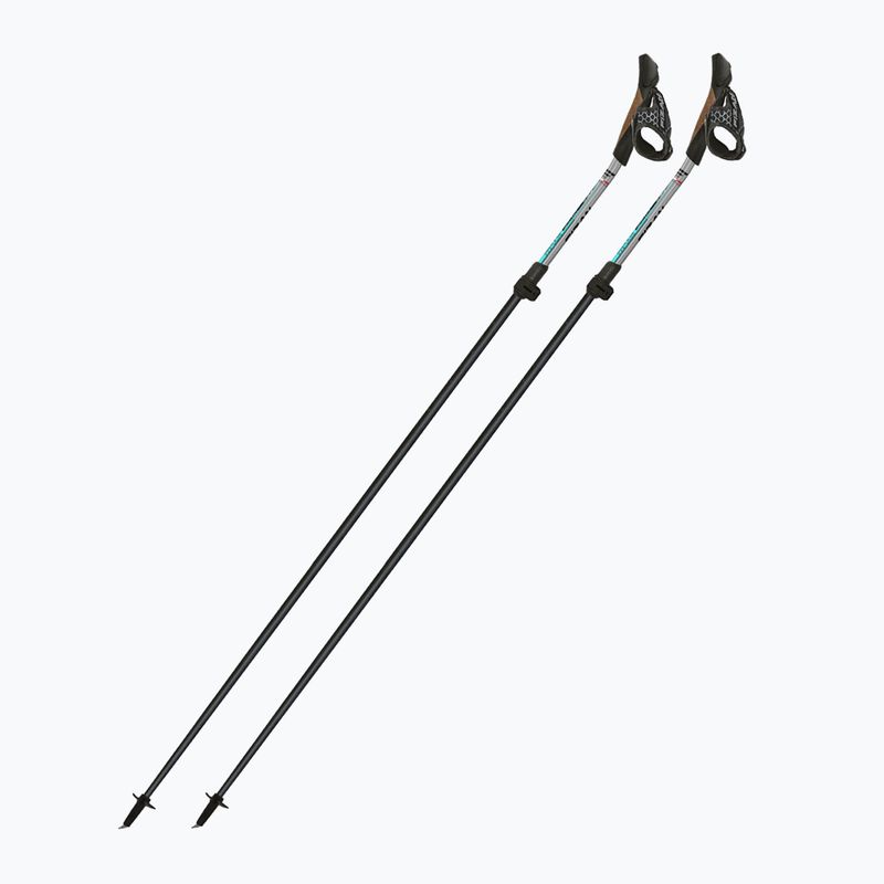 Палиці для скандинавської ходьби Fizan Tekno Impulse grey