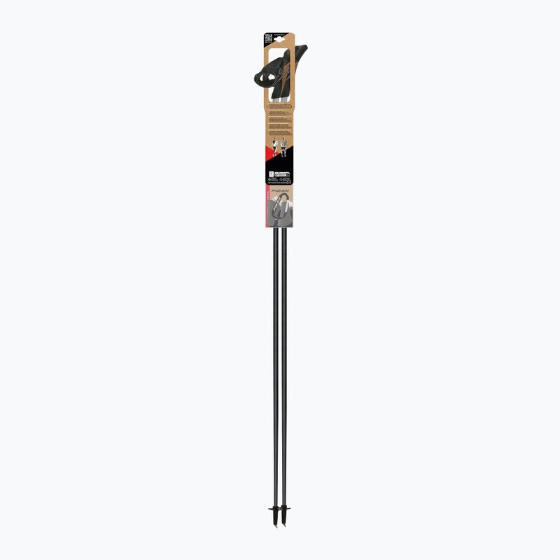 Палиці для скандинавської ходьби Fizan Tekno Impulse grey 4