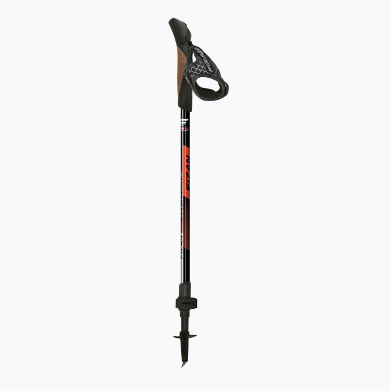 Палиці для скандинавської ходьби Fizan R-Evolution Pro red 2