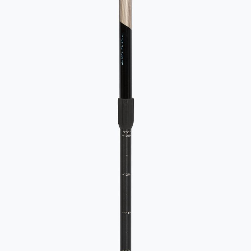 Палиці для скандинавської ходьби Fizan Speed beige 4
