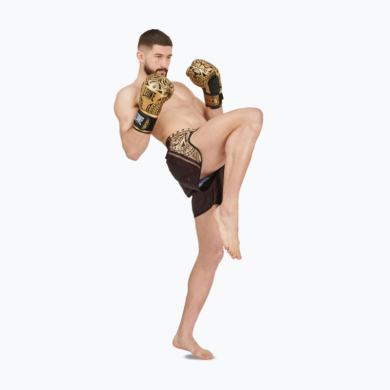 Рукавиці боксерські LEONE 1947 Haka oro/golden 10