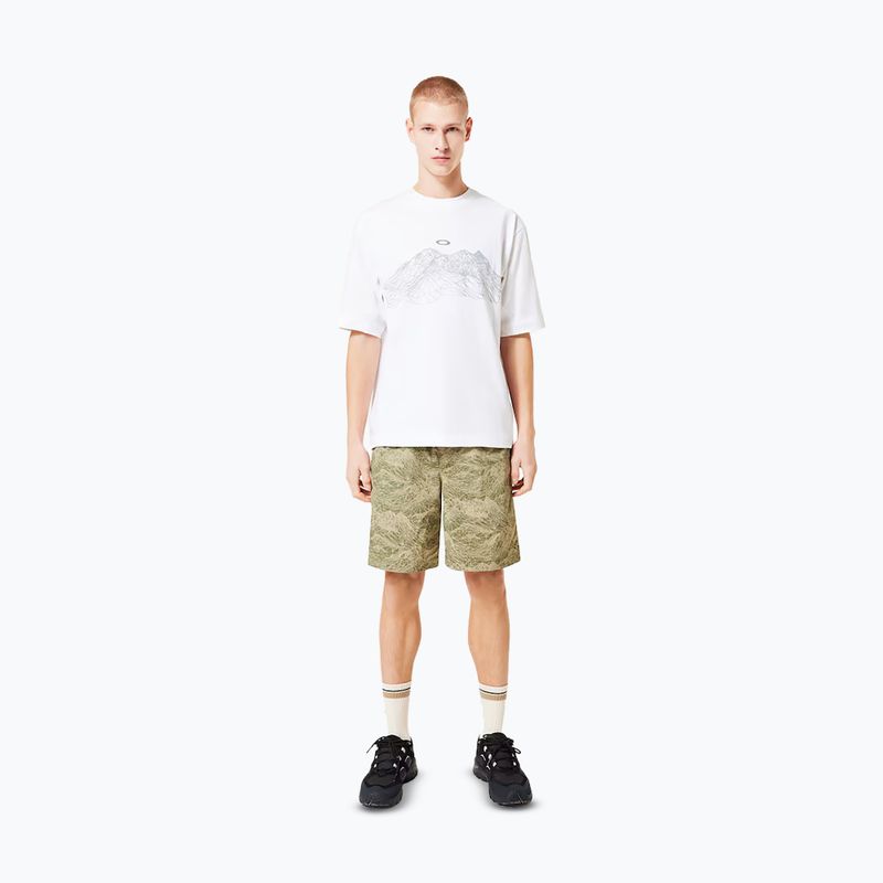 Футболка чоловіча Oakley Wired Mtn Scape Tee white