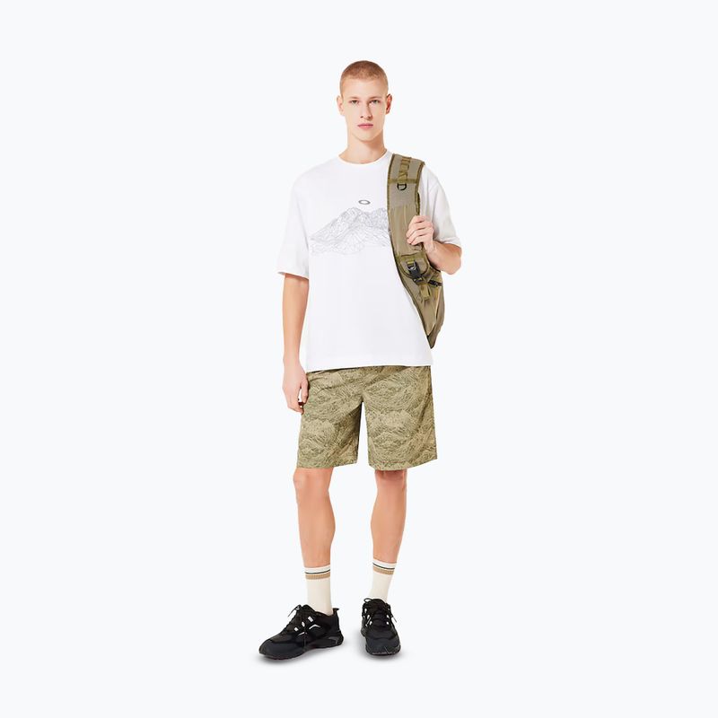 Футболка чоловіча Oakley Wired Mtn Scape Tee white 2