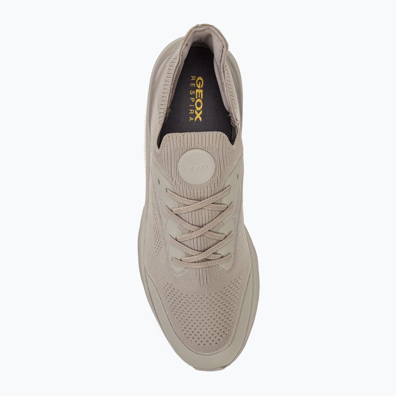 Кросівки чоловічі Geox Spherica Actif grey 5