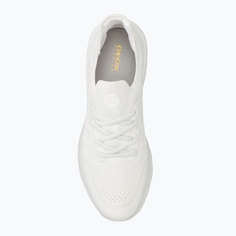 Кросівки жіночі Geox Spherica Actif white 6
