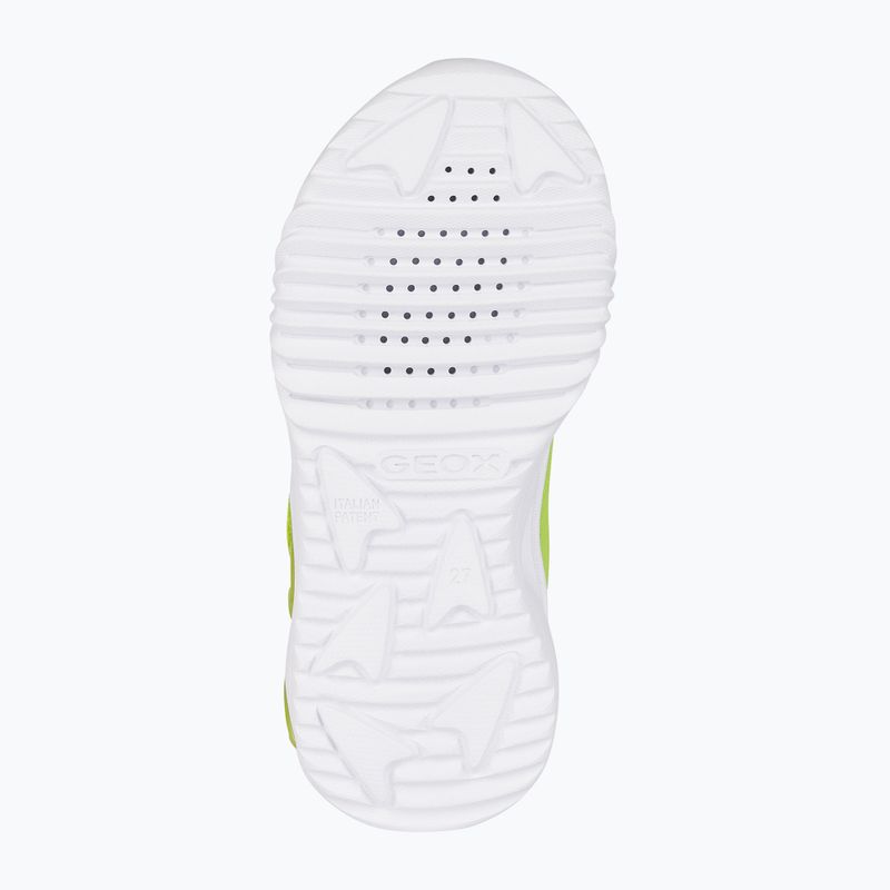 Кросівки дитячі Geox Assister lime/black 6