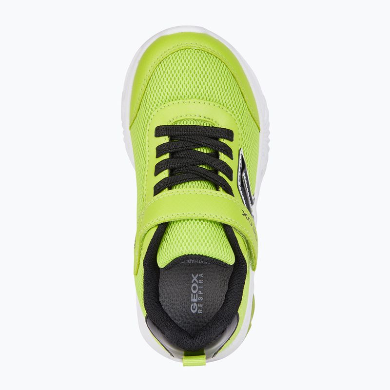 Кросівки дитячі Geox Assister lime/black 7