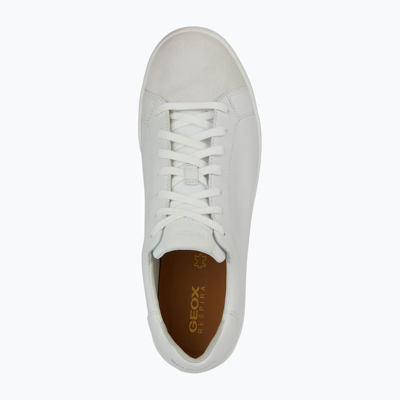 Кросівки чоловічі Geox Spherica Ecub-1 white/sta.white 13