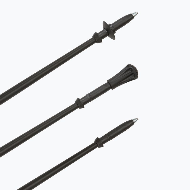 Палиці для скандинавської ходьби Fizan Walx Pro 6