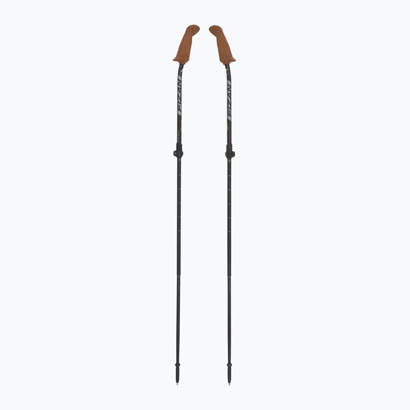 Палиці для скандинавської ходьби Fizan Walx Xplorer сірі