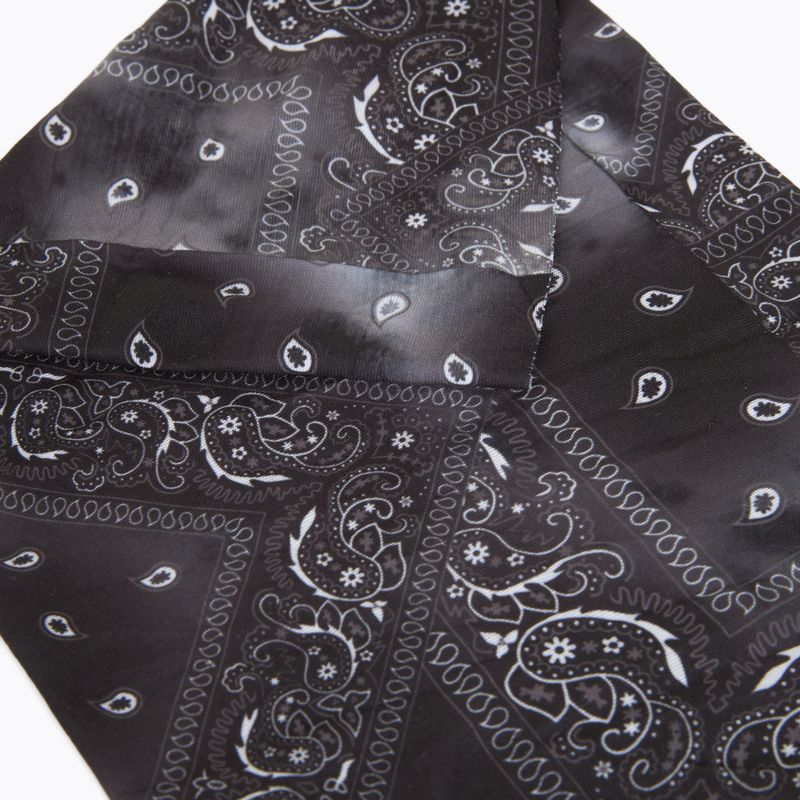 Палиці трекінгові Fizan Compact MS black 9