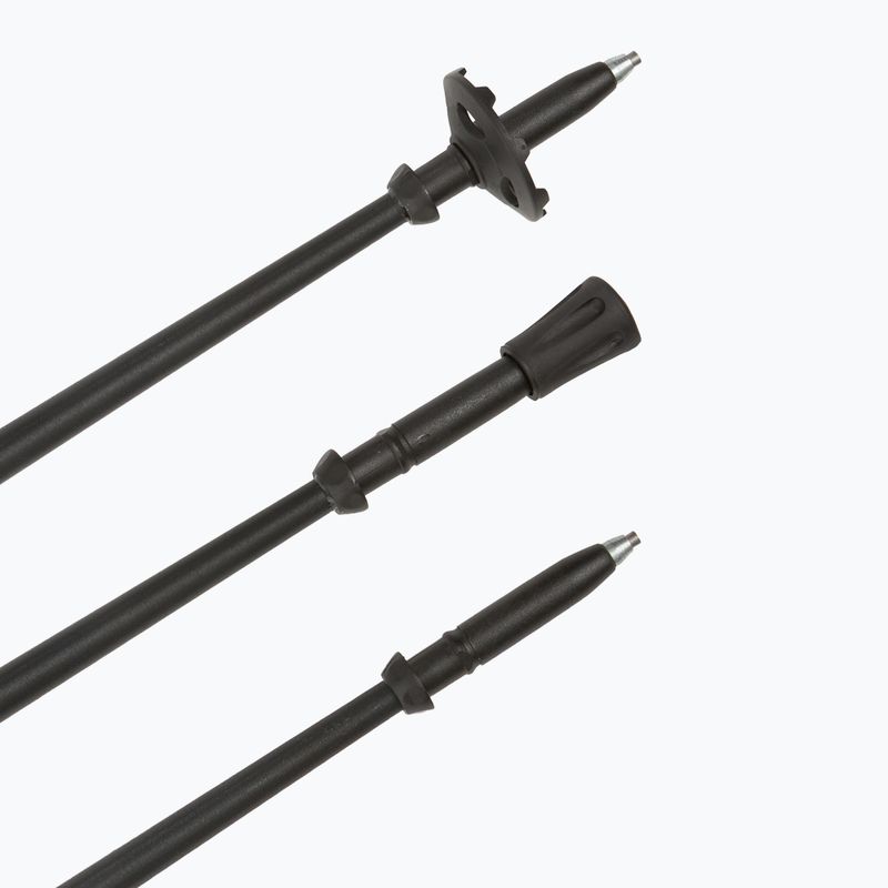 Палиці трекінгові Fizan Tierra beige/water green 6