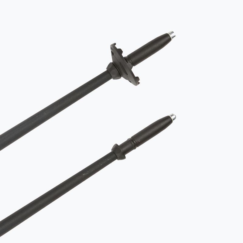 Палиці трекінгові Fizan Explorer beige/blue 6