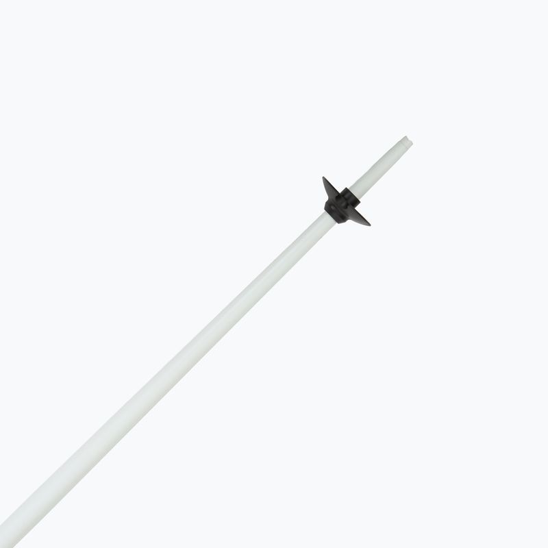 Лижні палиці Fizan Action MS paisley magenta 5