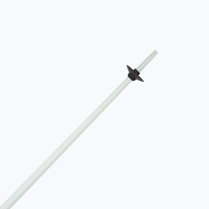 Палиці гірськолижні Fizan Action MS animal gry 5