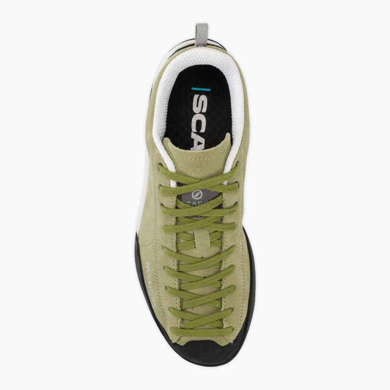 Трекінгові черевики з алое SCARPA Mojito 6