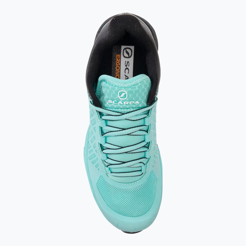 Кросівки для бігу жіночі SCARPA Spin Ultra блакитно-чорні 33069 6