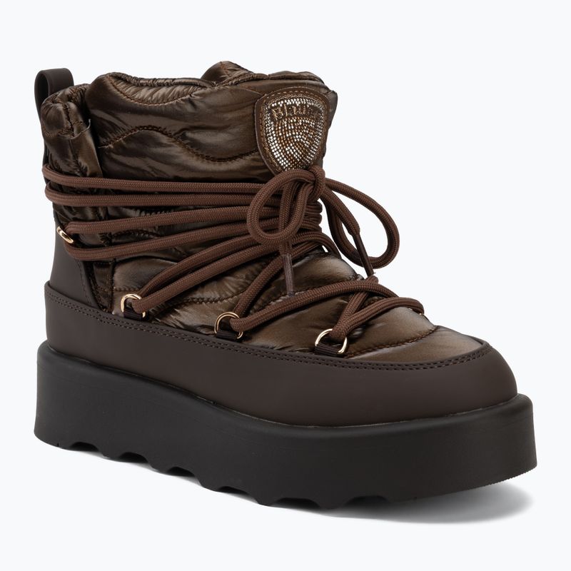 Черевики зимові жіночі Blauer USA F6DOYLE01 dark brown
